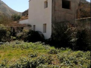 molino.antes